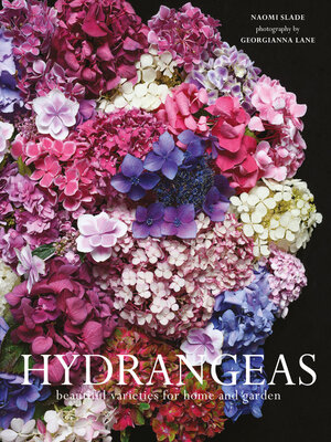 Hydrangeas - ebook